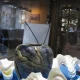 فسیل‌های دریایی موزه صدف اصفهان