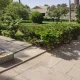 فضای سبز باغ و موزه نادرشاه