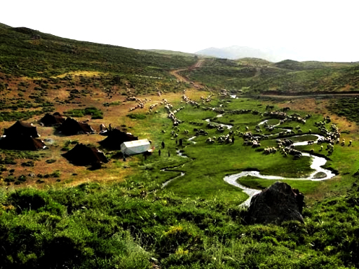 روستای شوی کردستان