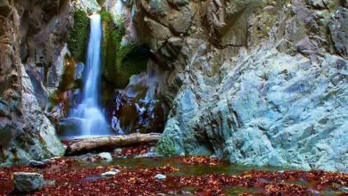 آبشار دره گلم کرمان
