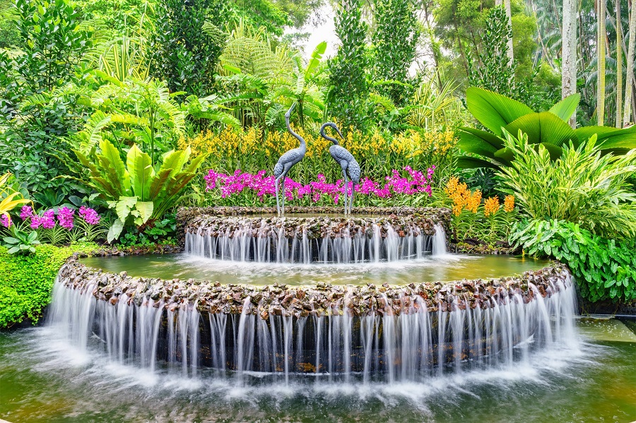 باغ ملی ارکیده سنگاپور 