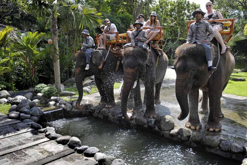 باغ وحش بالی