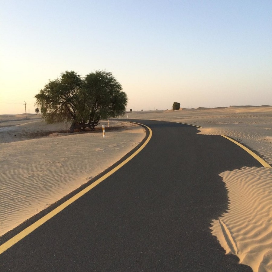 مسیر دوچرخه سواری القدرا دبی