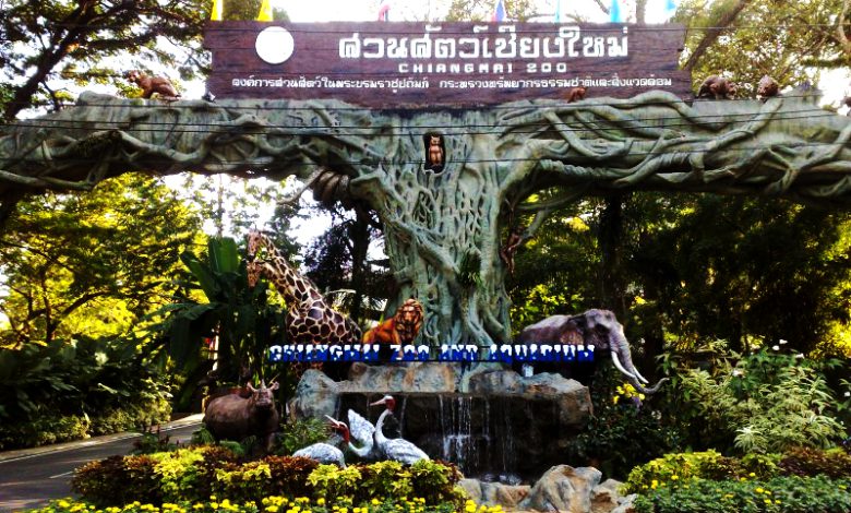 باغ وحش و نمایشگاه گیاهان و جانوران آبزی چیانگ مای