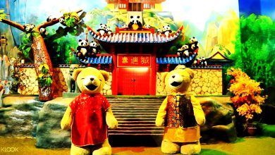 موزه خرس تدی