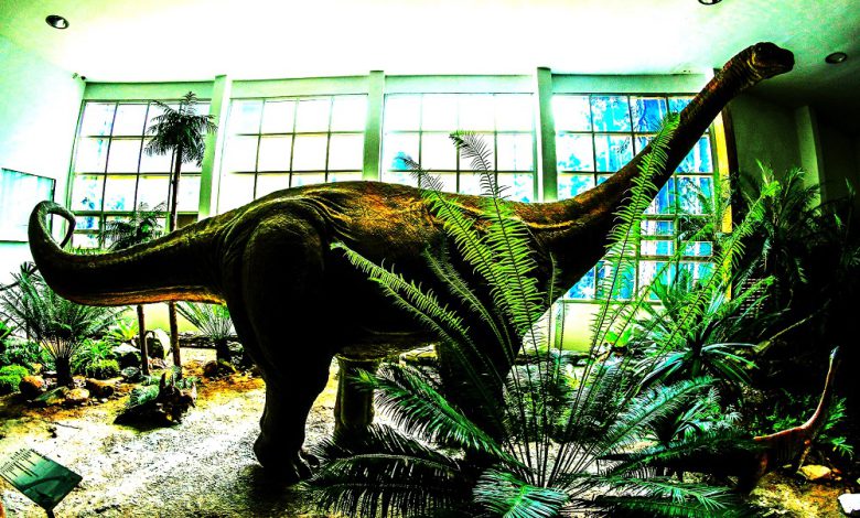 موزه دایناسور فو ویانگ