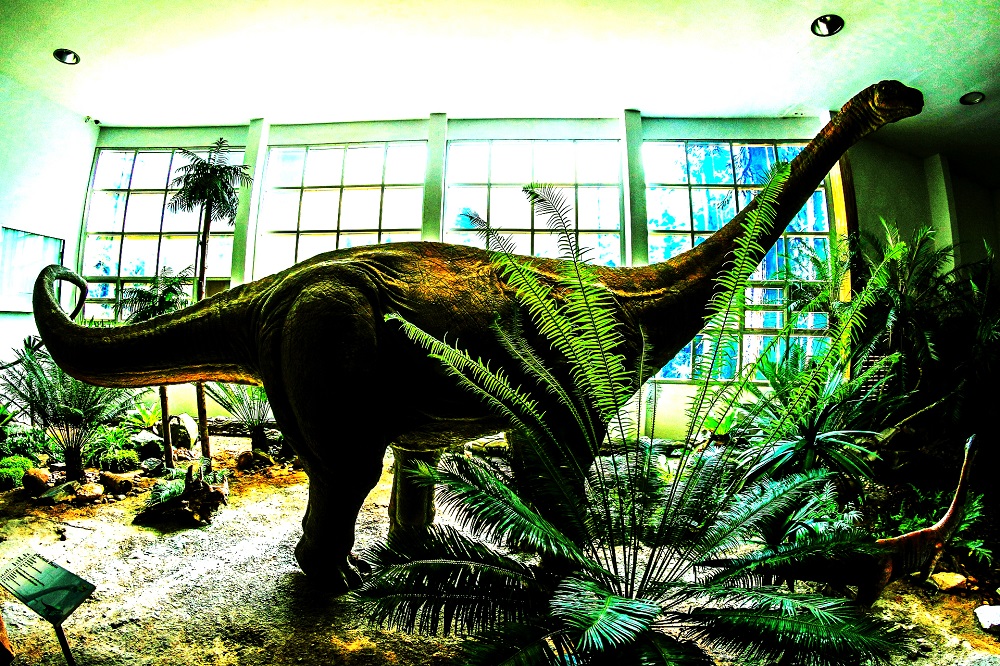 موزه دایناسور فو ویانگ