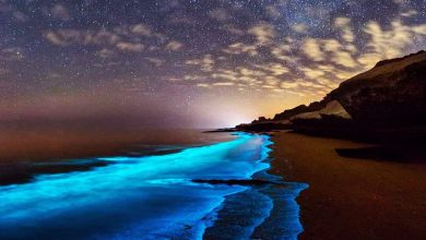 جزیره لارک از زیباترین جزایر ایران