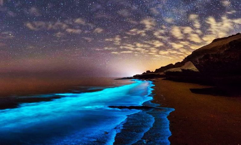 جزیره لارک از زیباترین جزایر ایران