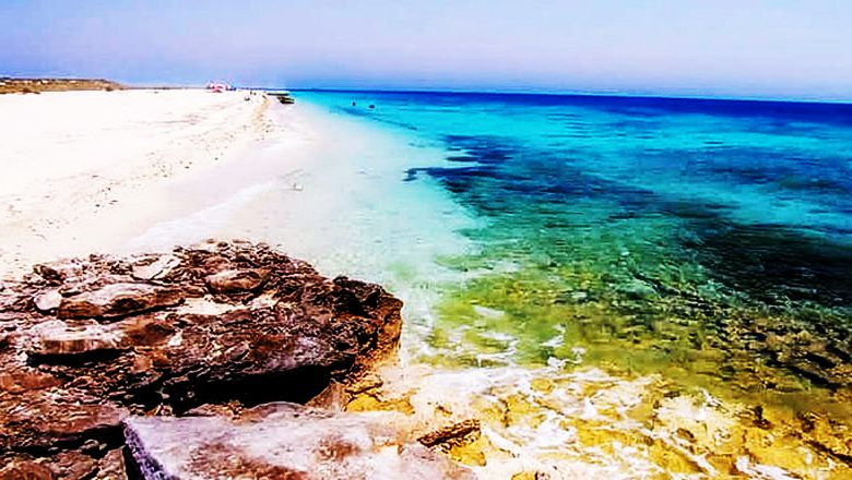 جزیره شیدور از بکرترین جزایر ایران