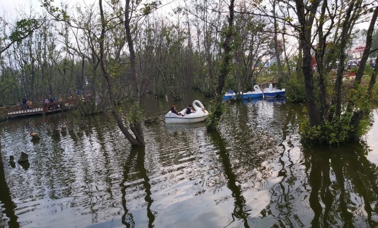 قایق سواری در پارک بهشت پرندگان