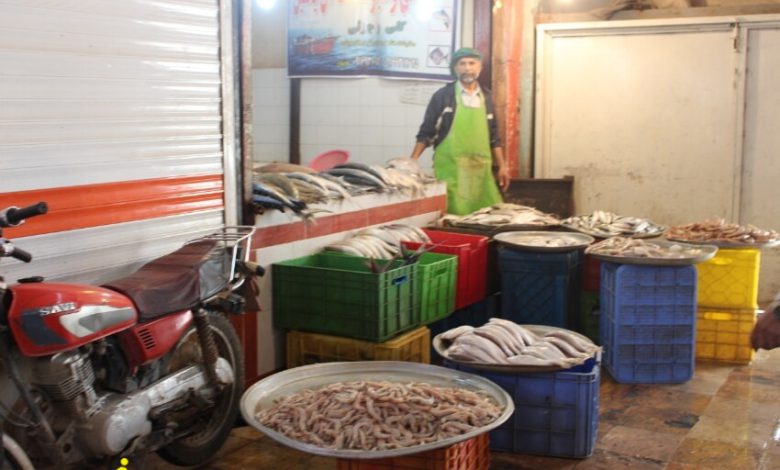 انواع ماهی در بازار ماهی فروشی آبادان