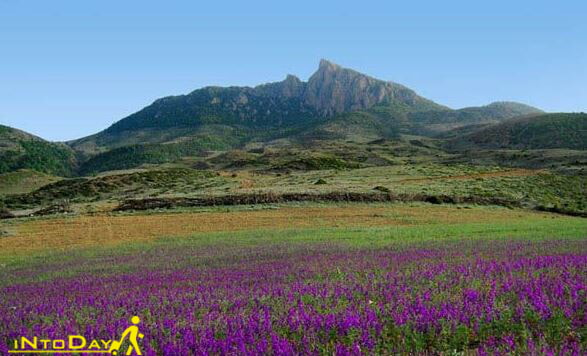 پارک ملی کیاسر در بهار
