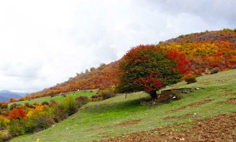 فصل پاییز در پارک ملی پابند
