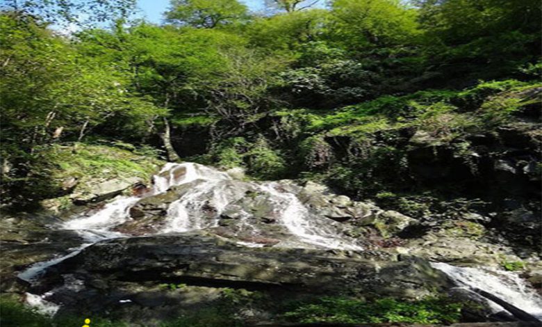 آبشار صفارود رامسر 