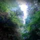 طبیعت‌گردی در آبشار سنگ نو