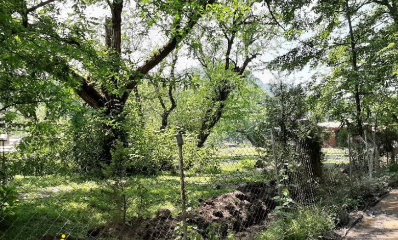 طبیعت روستای تیلاکنار 