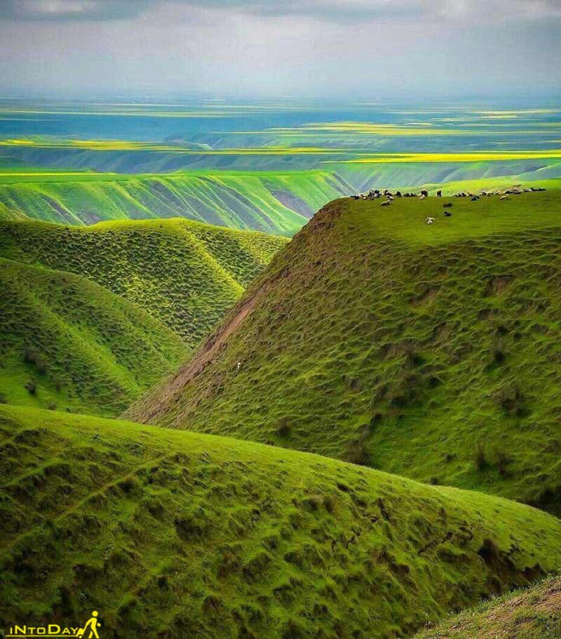 ترکمن صحرا
