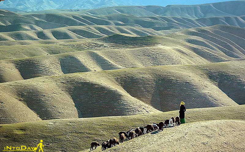 جاذبه های طبیعی ترکمن صحرا