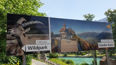 پارک حیات وحش آلپن اینترلاکن سوئیس