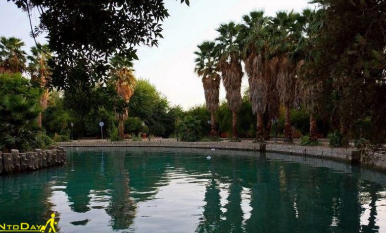پیک نیک در باغ چشمه بلقیس
