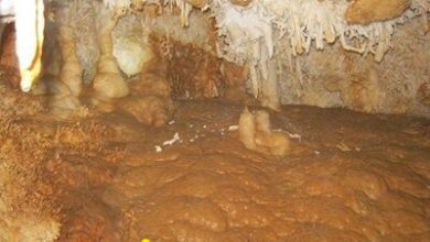 غار آهکی نارون شاهرود
