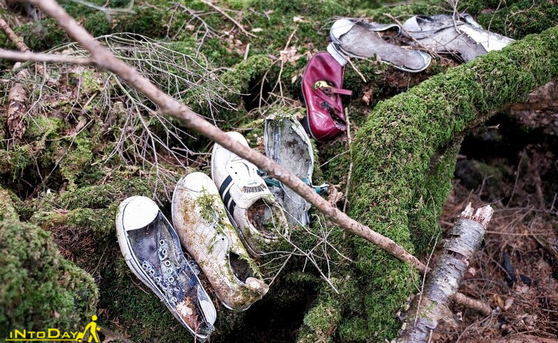کفش افرادی که در جنگل خودکشی کرده اند!