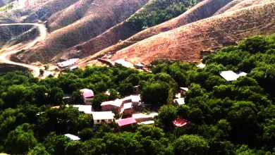 روستای اسپی داران