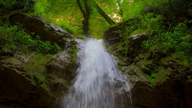 آبشار ولیلا سوادکوه