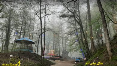 جنگل عباس آباد