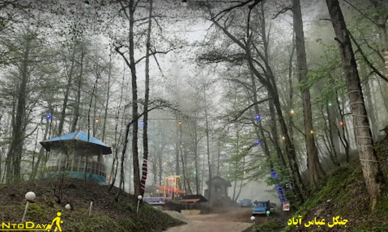 جنگل عباس آباد