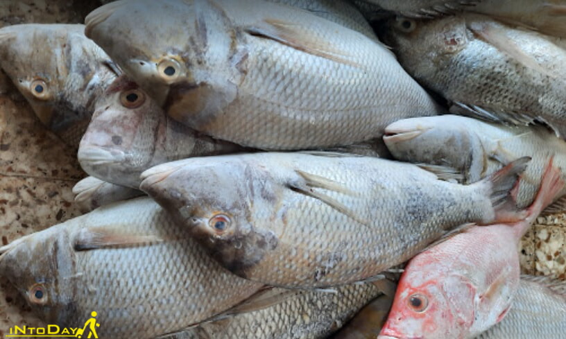 بازار ماهی و میگوی اهواز