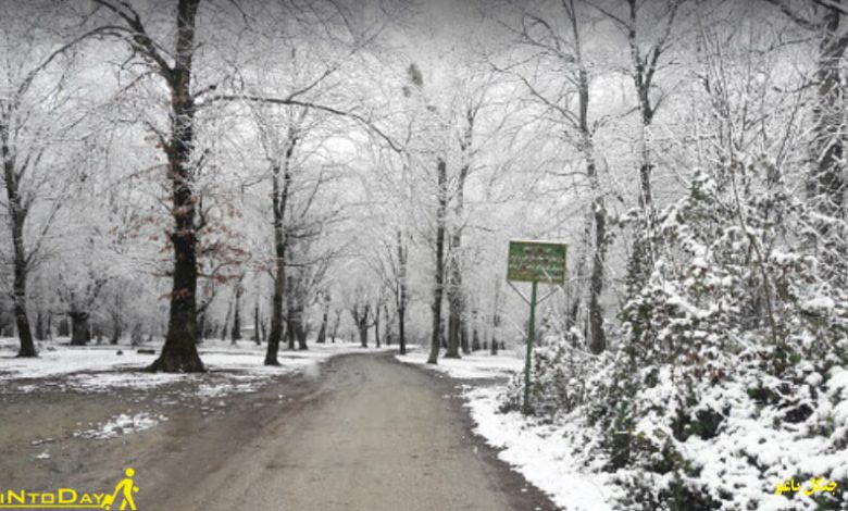 پارک جنگلی باغو در زمستان