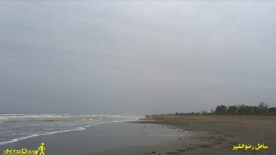 ساحل رضوانشهر