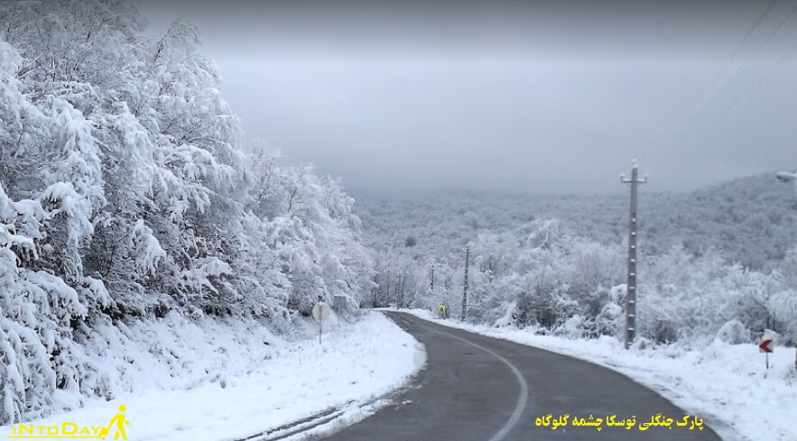 جاده توسکا چشمه در زمستان