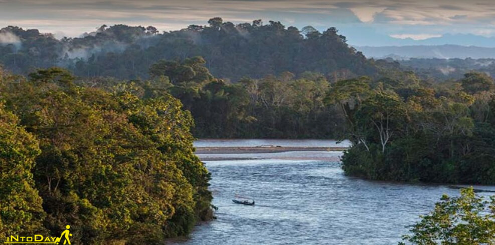 تصاویر جنگل آمازون