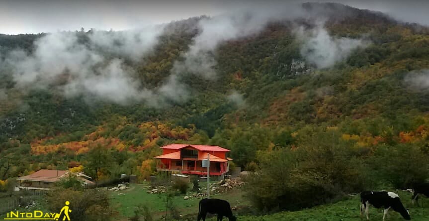 روستای چلی علیا