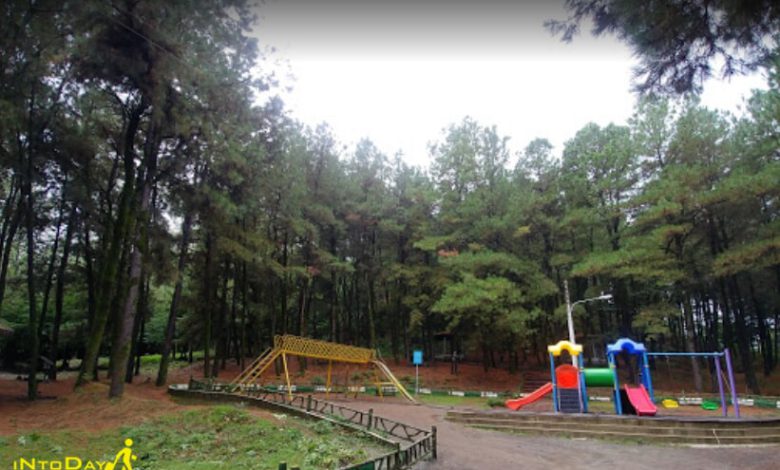 محوطه بازی کودکان در پارک جنگلی بی‌بی یانلو 