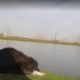پیک نیک در دریاچه دیگه سرا سیاه بیل
