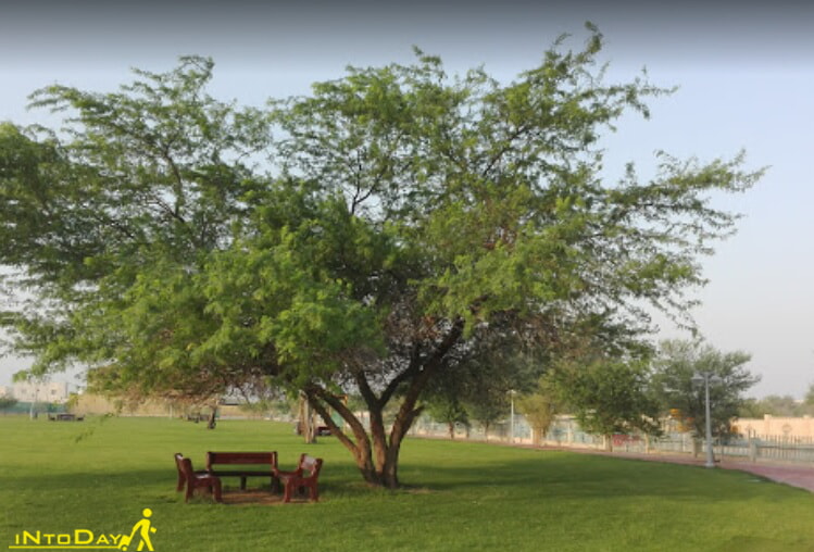 پارک التواصل الخور قطر