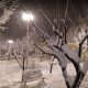 بارش برف در پارک گلریزان ولنجک