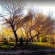 پارک ناژوان اصفهان در پاییز