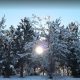 پارک جنگلی ارومیه در زمستان