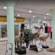 حیوانات تاکسیدرمی شده در موزه تاریخ طبیعی اردبیل