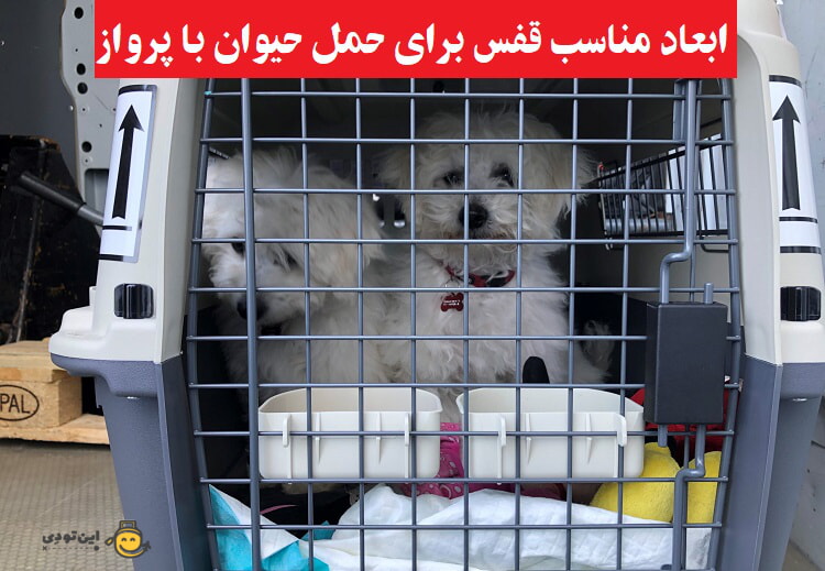 قوانین ابعاد قفس برای حمل حیوانات با هواپیما