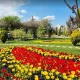 باغ گلها مشهد در بهار
