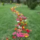 گل‌های باغ گلها مشهد