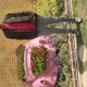 خودروهای تزئین شده باغ گلها مشهد