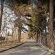 بوستان جنگلی غدیر مشهد در پاییز