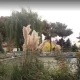 نرده‌های بامبو در باغ ژاپنی نمایشگاه بین‌المللی تهران
